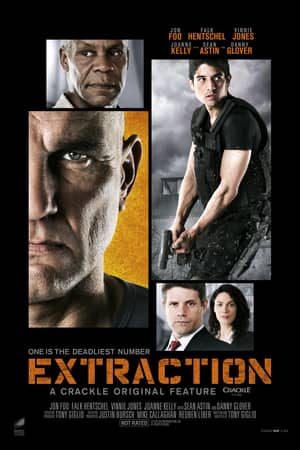 Download Extraction (2013) Dual Audio {Hindi-English} Movie 480p | 720p HDRip 350MB | 900MB