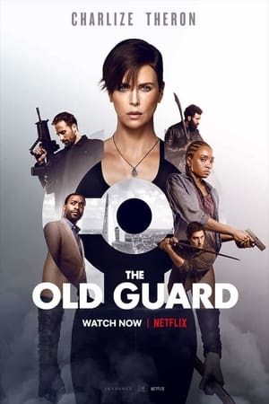 Download The Old Guard (2020) Dual Audio {Hindi-English} Movie 480p | 720p | 1080p WEB-DL 400MB | 1GB Download The Old Guard (2020) Dual Audio {Hindi-English} Movie 480p | 720p | 1080p WEB-DL 400MB | 1GB