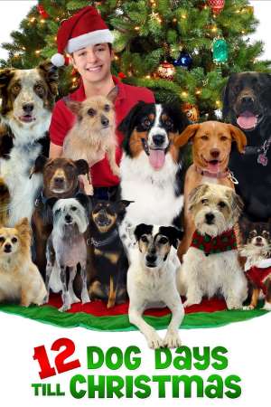 Download 12 Dog Days Till Christmas (2014) Dual Audio {Hindi-English} Movie 480p | 720p HDRip 300MB | 1.1GB Download 12 Dog Days Till Christmas (2014) Dual Audio {Hindi-English} Movie 480p | 720p HDRip 300MB | 1.1GB