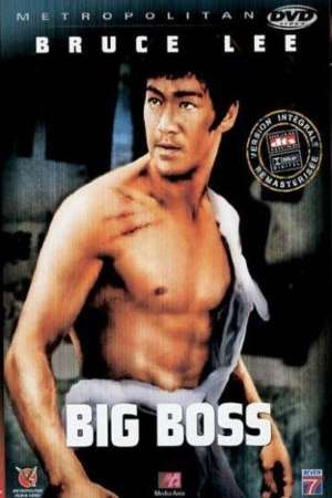 Download The Big Boss (1971) Dual Audio {Hindi-Chinese} Movie 480p | 720p | 1080p BluRay ESub Download The Big Boss (1971) Dual Audio {Hindi-Chinese} Movie 480p | 720p | 1080p BluRay ESub
