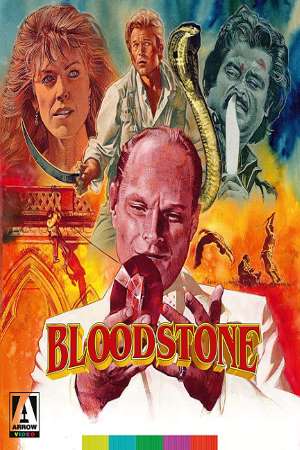 Download Bloodstone (1988) UNCUT Dual Audio {Hindi-English} Movie 480p | 720p BluRay 300MB | 900MB Download Bloodstone (1988) UNCUT Dual Audio {Hindi-English} Movie 480p | 720p BluRay 300MB | 900MB