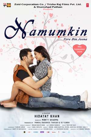 Download Namumkin Tere Bin Jeena (2020) Hindi Movie 480p | 720p | 1080p WEB-DL 260MB | 650MB Download Namumkin Tere Bin Jeena (2020) Hindi Movie 480p | 720p | 1080p WEB-DL 260MB | 650MB