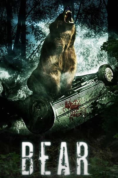 Download Bear (2010) Dual Audio {Hindi-English} Movie 480p | 720p BluRay 280MB | 800MB Download Bear (2010) Dual Audio {Hindi-English} Movie 480p | 720p BluRay 280MB | 800MB