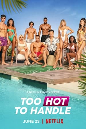 Download Too Hot to Handle (Season 1 – 6) Dual Audio {Hindi-English} NetFlix WEB Series 480p | 720p WEB-DL ESub