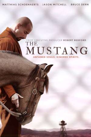 The Mustang (2019) Dual Audio {Hindi-English} Movie Download 480p | 720p | 1080p BluRay The Mustang (2019) Dual Audio {Hindi-English} Movie Download 480p | 720p | 1080p BluRay