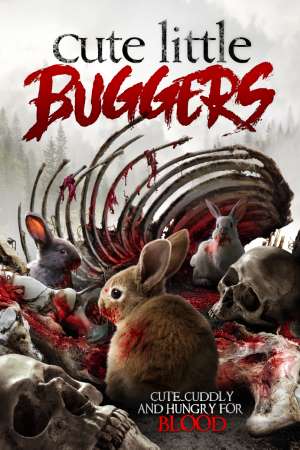 Download Cute Little Buggers (2017) Dual Audio {Hindi-English} Movie 480p | 720p BluRay ESub Download Cute Little Buggers (2017) Dual Audio {Hindi-English} Movie 480p | 720p BluRay ESub
