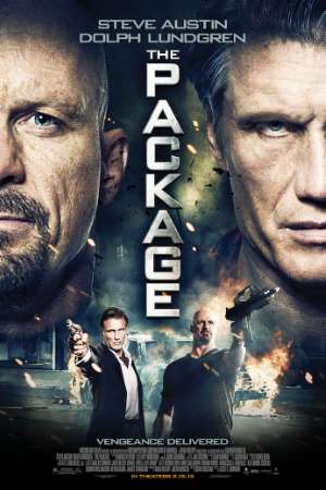 Download The Package (2012) Dual Audio {Hindi-English} Movie 480p | 720p | 1080p BluRay ESub