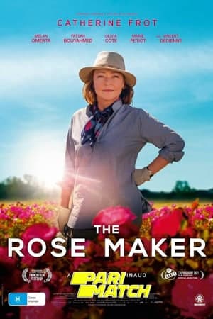 Download Entre Rosas (2021) Dual Audio {Hindi (HQ)-Spanish} Movie 720p CAMRip 800MB Download Entre Rosas (2021) Dual Audio {Hindi (HQ)-Spanish} Movie 720p CAMRip 800MB