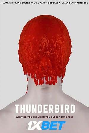 Download Thunderbird (2019) Dual Audio {Hindi (HQ)-English} Movie 720p HDRip 850MB Download Thunderbird (2019) Dual Audio {Hindi (HQ)-English} Movie 720p HDRip 850MB