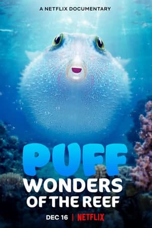 Download Puff: Wonders of the Reef (2021) Dual Audio {Hindi-English} Movie 480p | 720p | 1080p WEB-DL Download Puff: Wonders of the Reef (2021) Dual Audio {Hindi-English} Movie 480p | 720p | 1080p WEB-DL