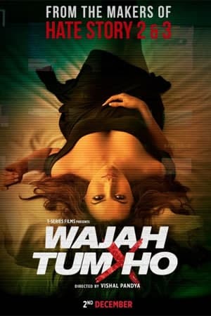 Download Wajah Tum Ho (2016) Hindi Movie 480p | 720p | 1080p WEB-DL ESub Download Wajah Tum Ho (2016) Hindi Movie 480p | 720p | 1080p WEB-DL ESub