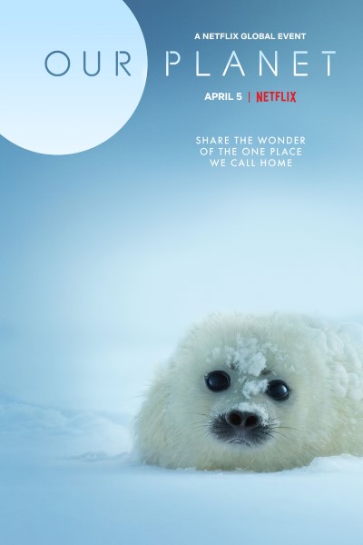Download Our Planet (Season 01-02) Dual Audio {English-Hindi} Web Series 720p | 1080p WEB-DL Esub Download Our Planet (Season 01-02) Dual Audio {English-Hindi} Web Series 720p | 1080p WEB-DL Esub