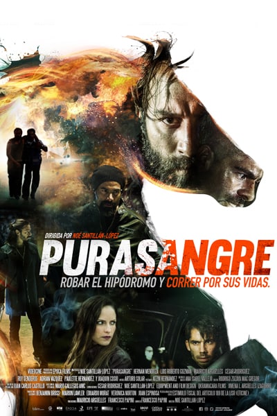 Download Purasangre (2016) Dual Audio {Hindi-Spanish} Movie 480p | 720p BluRay 350MB | 1.2GB Download Purasangre (2016) Dual Audio {Hindi-Spanish} Movie 480p | 720p BluRay 350MB | 1.2GB