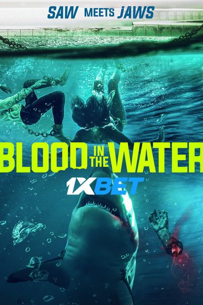 Download Blood in the Water (2022) Hindi Dubbed (Voice Over) Movie 480p | 720p WEBRip Download Blood in the Water (2022) Hindi Dubbed (Voice Over) Movie 480p | 720p WEBRip