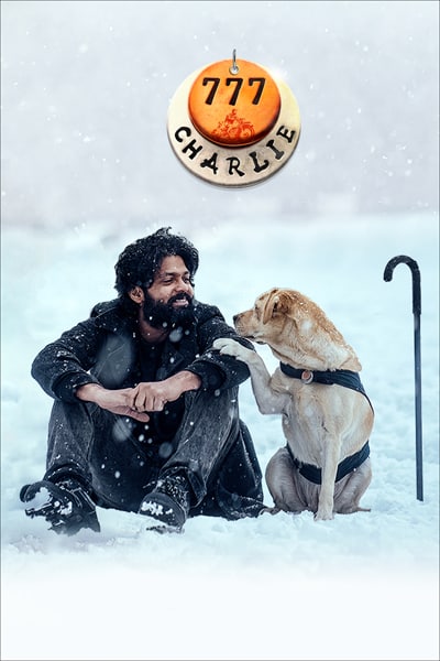 Download 777 Charlie (2022) Dual Audio {Hindi-Kannada} Movie 480p | 720p | 1080p WEB-DL ESub Download 777 Charlie (2022) Dual Audio {Hindi-Kannada} Movie 480p | 720p | 1080p WEB-DL ESub