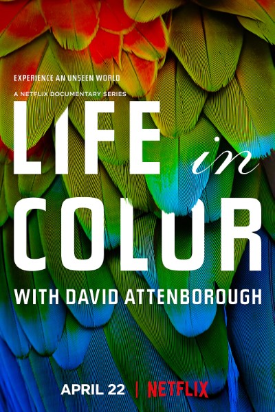 Download Netflix Life in Colour (Season 1) English Web Series 720p | WEB-DL Esub