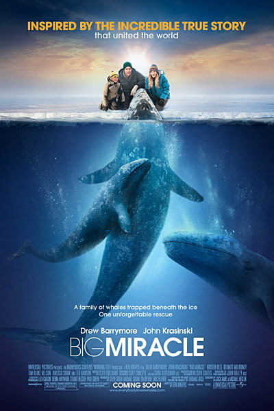 Download Big Miracle (2012) Dual Audio {Hindi-English} Movie 480p | 720p | 1080p BluRay ESub Download Big Miracle (2012) Dual Audio {Hindi-English} Movie 480p | 720p | 1080p BluRay ESub