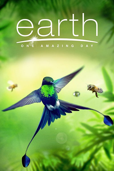 Download Earth: One Amazing Day (2017) Dual Audio {Hindi-English} Movie 480p | 720p | 1080p BluRay ESub Download Earth: One Amazing Day (2017) Dual Audio {Hindi-English} Movie 480p | 720p | 1080p BluRay ESub