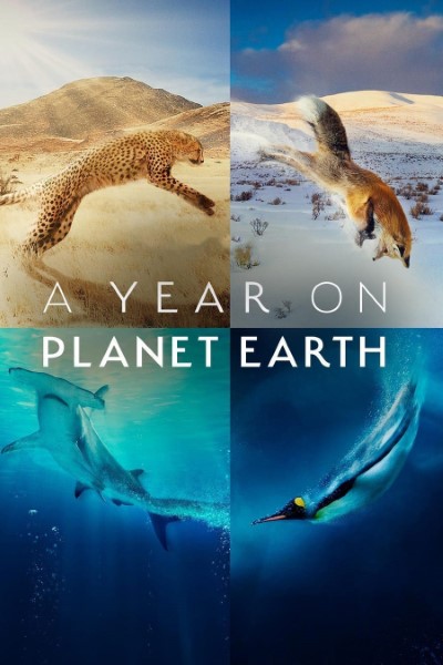 Download A Year on Planet Earth (Season 1) English Web Series 720p | 1080p WEB-DL Esub Download A Year on Planet Earth (Season 1) English Web Series 720p | 1080p WEB-DL Esub