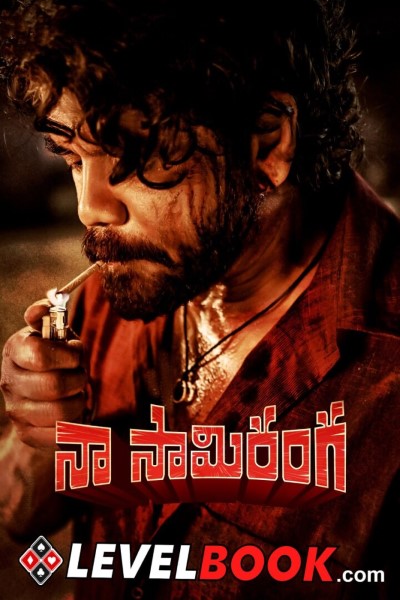 Download Naa Saami Ranga (2024) Telugu Movie 480p | 720p | 1080p HDTS Download Naa Saami Ranga (2024) Telugu Movie 480p | 720p | 1080p HDTS