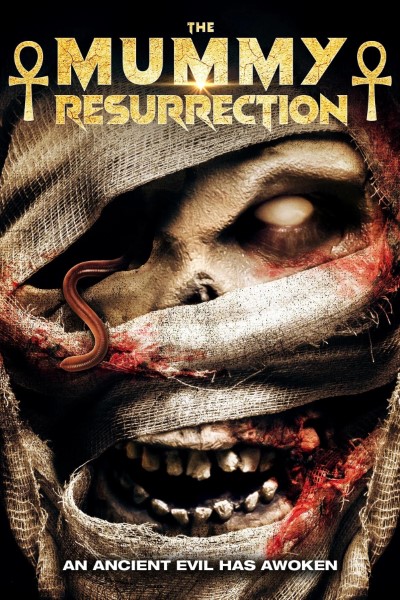 Download The Mummy: Resurrection (2022) Dual Audio {Hindi-English} Movie 480p | 720p | 1080p WEB-DL ESub Download The Mummy: Resurrection (2022) Dual Audio {Hindi-English} Movie 480p | 720p | 1080p WEB-DL ESub