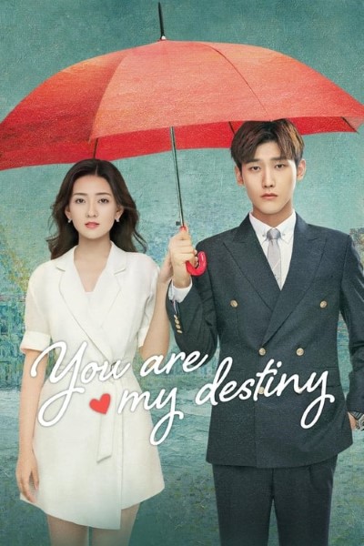 Download You Are My Destiny (Season 01) Dual Audio {Hindi-Korean} Web Series 720p | 1080p WEB-DL ESub Download You Are My Destiny (Season 01) Dual Audio {Hindi-Korean} Web Series 720p | 1080p WEB-DL ESub