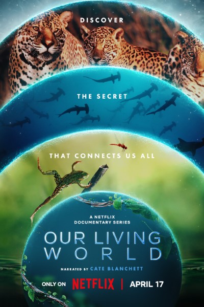 Download Our Living World (Season 01) Dual Audio {Hindi-English} Web Series 720p | 1080p WEB-DL ESub Download Our Living World (Season 01) Dual Audio {Hindi-English} Web Series 720p | 1080p WEB-DL ESub