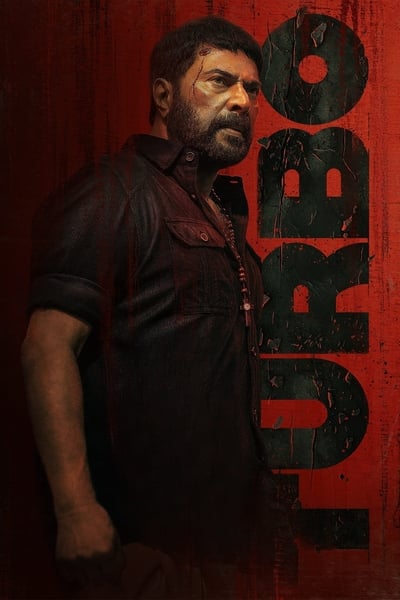 Download Turbo (2024) Dual Audio {Hindi-Malayalam} Movie 480p | 720p | 1080p WEB-DL ESub