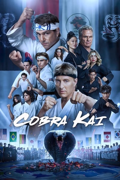 Download Cobra Kai (Season 1-6) Dual Audio {Hindi-English} NetFlix WEB Series 480p | 720p | 1080p WEB-DL ESub [S06E15 Added]