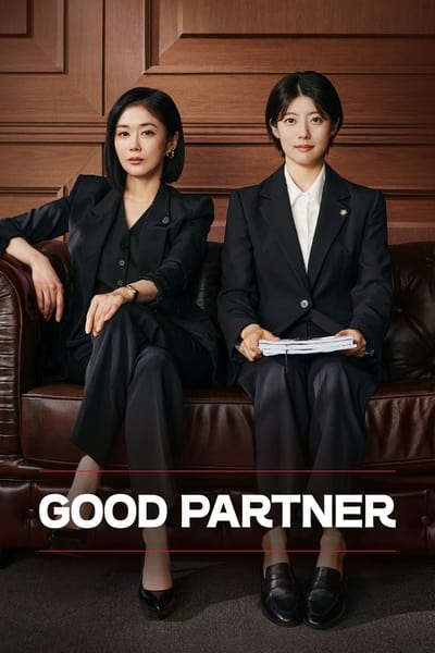 Download Good Partner (Season 1) Korean WEB Series 720p | 1080p WEB-DL ESub [S01E16 Added]