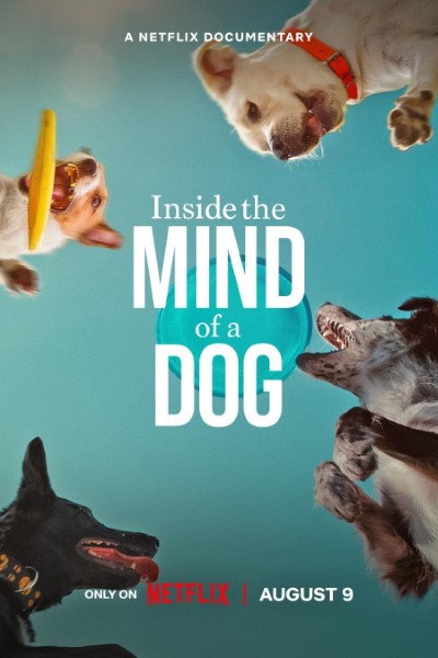 Download Inside the Mind of a Dog (2024) Dual Audio {Hindi-English} Movie 480p | 720p | 1080p WEB-DL ESub
