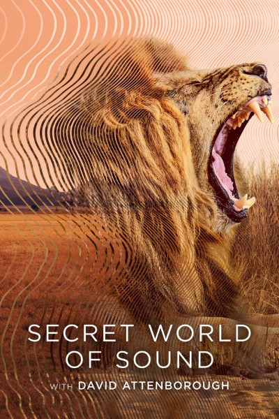 Download Secret World of Sound with David Attenborough (Season 1) Dual Audio [Hindi-English] WEB Series 720p | 1080p WEB-DL MSubs