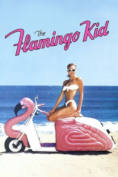 Download The Flamingo Kid (1984) English Movie 480p | 720p | 1080p BluRay ESub Download The Flamingo Kid (1984) English Movie 480p | 720p | 1080p BluRay ESub