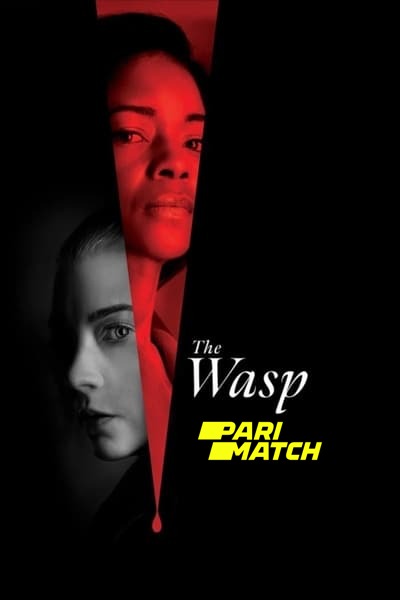 Download The Wasp (2024) English Movie 480p | 720p | 1080p CAMRip