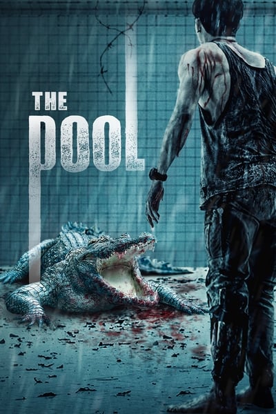 Download The Pool (2018) Dual Audio {Hindi-Thai} Movie 480p | 720p | 1080p BluRay ESub Download The Pool (2018) Dual Audio {Hindi-Thai} Movie 480p | 720p | 1080p BluRay ESub