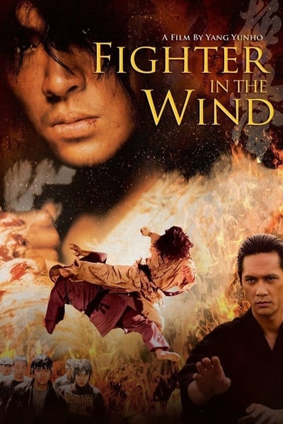 Download Fighter in the Wind (2004) Dual Audio [Hindi-Korean] Movie 480p | 720p | 1080p BluRay ESub