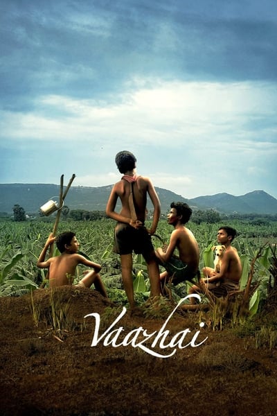 Download Vaazhai (2024) Dual Audio {Hindi-Tamil} Movie 480p | 720p | 1080p WEB-DL ESub Download Vaazhai (2024) Dual Audio {Hindi-Tamil} Movie 480p | 720p | 1080p WEB-DL ESub