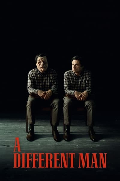 Download A Different Man (2024) English Movie 480p | 720p | 1080p WEB-DL ESub
