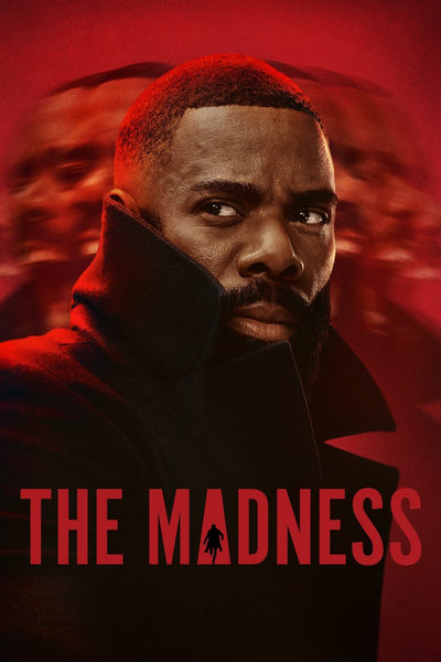 Download The Madness (Season 1) Dual Audio [Hindi-English] WEB Series 480p | 720p | 1080p WEB-DL MSubs
