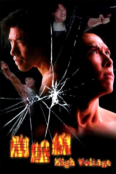 Download Asian Cop: High Voltage (1994) Dual Audio [Hindi-Chinese] Movie 480p | 720p | 1080p WEB-DL ESub