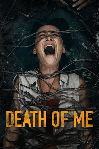 Download Death of Me (2020) Dual Audio [Hindi-English] Movie 480p | 720p | 1080p WEB-DL ESub