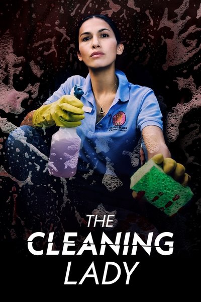 Download The Cleaning Lady (Season 1 – 4) English WEB Series 720p | 1080p WEB-DL ESub [S04E07 Added]